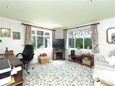 Picture 14